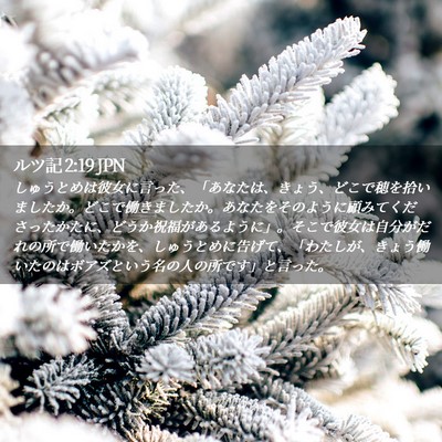 Picture 02 - ルツ記 2:19 JPN - しゅうとめは彼女に言った、「あな - Bible Verse Picture