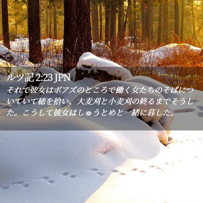 Picture 02 - ルツ記 2:23 JPN - それで彼女はボアズのところで働く - Bible Verse Picture
