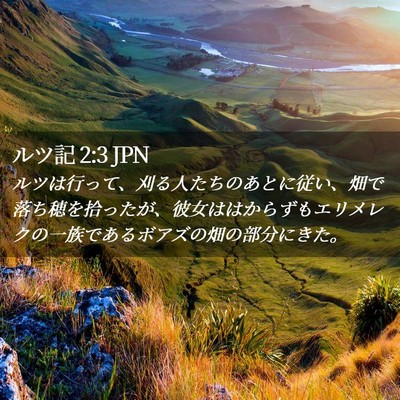 Picture 02 - ルツ記 2:3 JPN - ルツは行って、刈る人たちのあとに - Bible Verse Picture