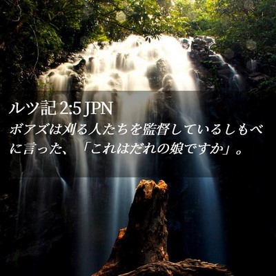 Picture 02 - ルツ記 2:5 JPN - ボアズは刈る人たちを監督している - Bible Verse Picture