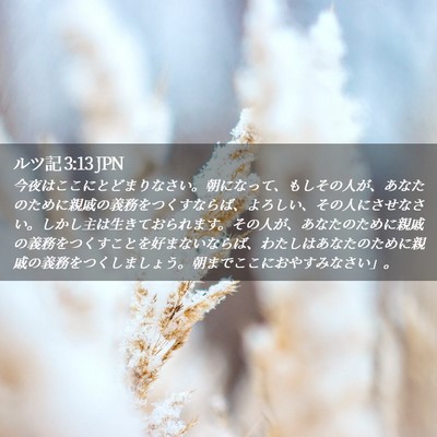 Picture 02 - ルツ記 3:13 JPN - 今夜はここにとどまりなさい。朝に - Bible Verse Picture