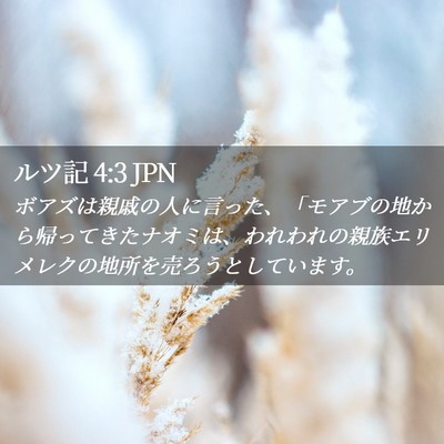 Picture 02 - ルツ記 4:3 JPN - ボアズは親戚の人に言った、「モア - Bible Verse Picture