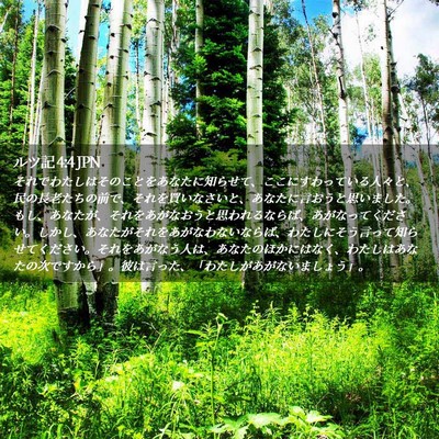 Picture 02 - ルツ記 4:4 JPN - それでわたしはそのことをあなたに - Bible Verse Picture