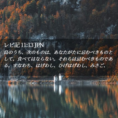 Picture 02 - レビ記 11:13 JPN - 鳥のうち、次のものは、あなたがた - Bible Verse Picture