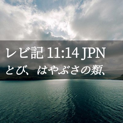 Picture 02 - レビ記 11:14 JPN - とび、はやぶさの類、 - Bible Verse Picture