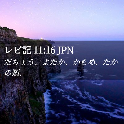 Picture 02 - レビ記 11:16 JPN - だちょう、よたか、かもめ、たかの - Bible Verse Picture