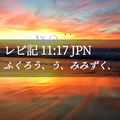 Picture 02 - レビ記 11:17 JPN - ふくろう、う、みみずく、 - Bible Verse Picture