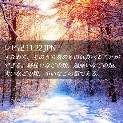 Picture 02 - レビ記 11:22 JPN - すなわち、そのうち次のものは食べ - Bible Verse Picture