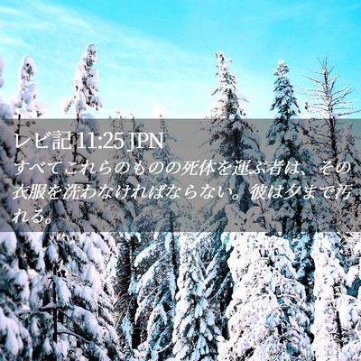 Picture 02 - レビ記 11:25 JPN - すべてこれらのものの死体を運ぶ者 - Bible Verse Picture