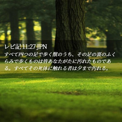 Picture 02 - レビ記 11:27 JPN - すべて四つの足で歩く獣のうち、そ - Bible Verse Picture