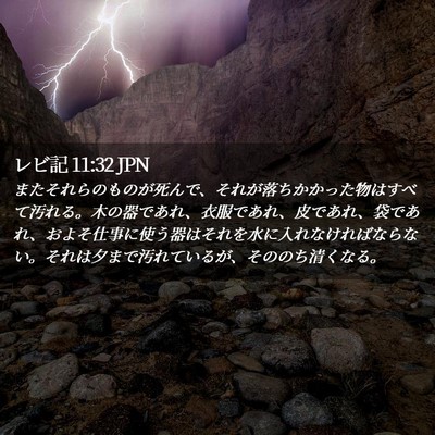 Picture 02 - レビ記 11:32 JPN - またそれらのものが死んで、それが - Bible Verse Picture