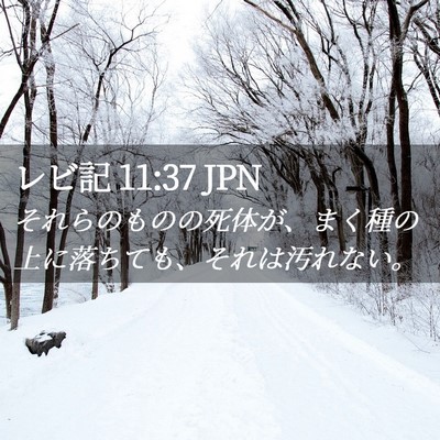 Picture 02 - レビ記 11:37 JPN - それらのものの死体が、まく種の上 - Bible Verse Picture