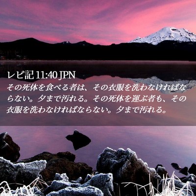 Picture 02 - レビ記 11:40 JPN - その死体を食べる者は、その衣服を - Bible Verse Picture