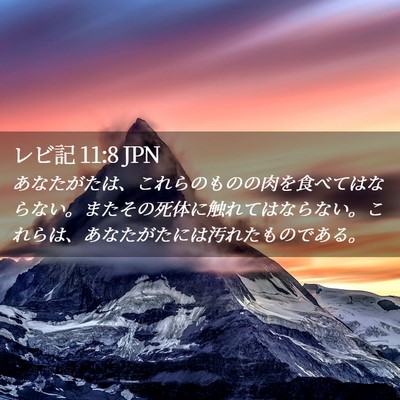 Picture 02 - レビ記 11:8 JPN - あなたがたは、これらのものの肉を - Bible Verse Picture