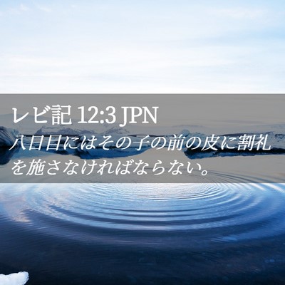 Picture 02 - レビ記 12:3 JPN - 八日目にはその子の前の皮に割礼を - Bible Verse Picture
