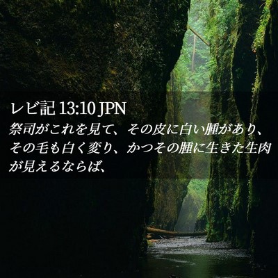 Picture 02 - レビ記 13:10 JPN - 祭司がこれを見て、その皮に白い腫 - Bible Verse Picture