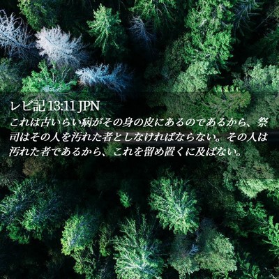 Picture 02 - レビ記 13:11 JPN - これは古いらい病がその身の皮にあ - Bible Verse Picture