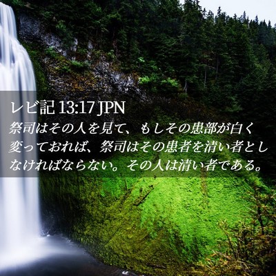Picture 02 - レビ記 13:17 JPN - 祭司はその人を見て、もしその患部 - Bible Verse Picture