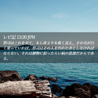 Picture 02 - レビ記 13:20 JPN - 祭司はこれを見て、もし皮よりも低 - Bible Verse Picture
