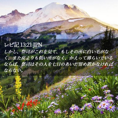 Picture 02 - レビ記 13:21 JPN - しかし、祭司がこれを見て、もしそ - Bible Verse Picture