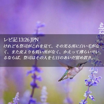 Picture 02 - レビ記 13:26 JPN - けれども祭司がこれを見て、その光 - Bible Verse Picture