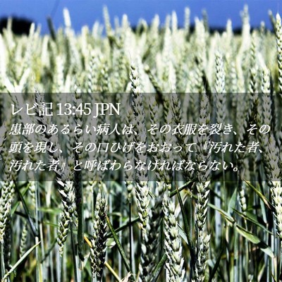 Picture 02 - レビ記 13:45 JPN - 患部のあるらい病人は、その衣服を - Bible Verse Picture