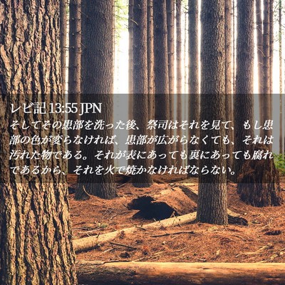 Picture 02 - レビ記 13:55 JPN - そしてその患部を洗った後、祭司は - Bible Verse Picture