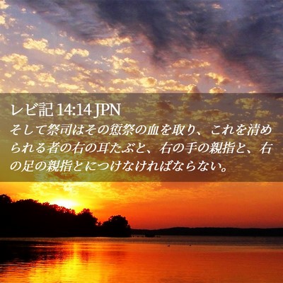 Picture 02 - レビ記 14:14 JPN - そして祭司はその愆祭の血を取り、 - Bible Verse Picture