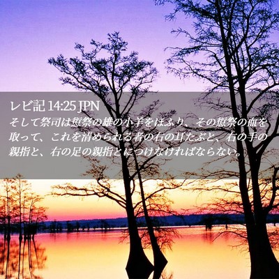 Picture 02 - レビ記 14:25 JPN - そして祭司は愆祭の雄の小羊をほふ - Bible Verse Picture