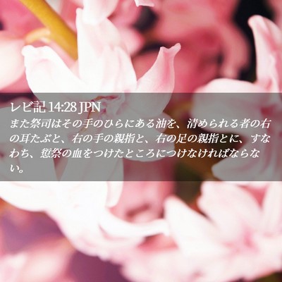 Picture 02 - レビ記 14:28 JPN - また祭司はその手のひらにある油を - Bible Verse Picture