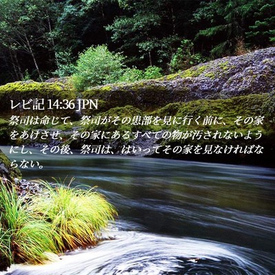 Picture 02 - レビ記 14:36 JPN - 祭司は命じて、祭司がその患部を見 - Bible Verse Picture