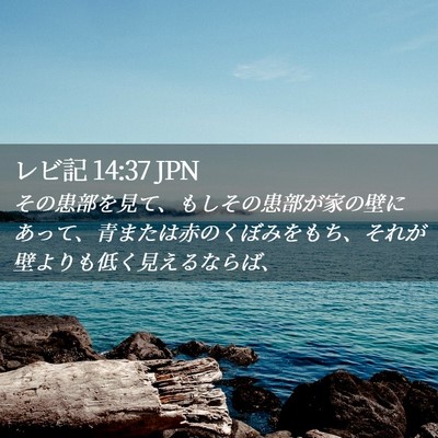 Picture 02 - レビ記 14:37 JPN - その患部を見て、もしその患部が家 - Bible Verse Picture