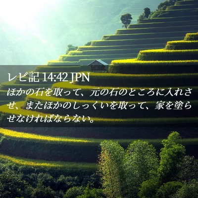 Picture 02 - レビ記 14:42 JPN - ほかの石を取って、元の石のところ - Bible Verse Picture