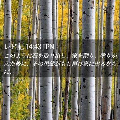 Picture 02 - レビ記 14:43 JPN - このように石を取り出し、家を削り - Bible Verse Picture