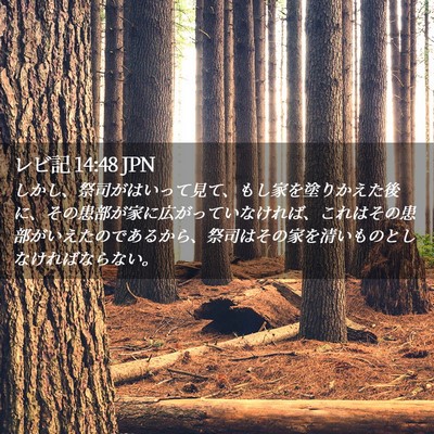 Picture 02 - レビ記 14:48 JPN - しかし、祭司がはいって見て、もし - Bible Verse Picture