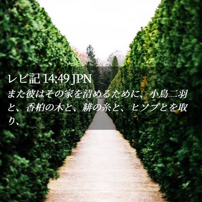 Picture 02 - レビ記 14:49 JPN - また彼はその家を清めるために、小 - Bible Verse Picture