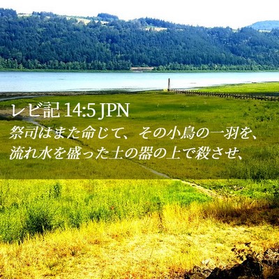 Picture 02 - レビ記 14:5 JPN - 祭司はまた命じて、その小鳥の一羽 - Bible Verse Picture