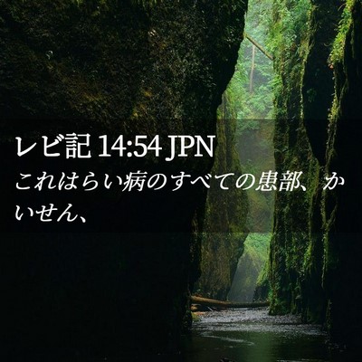 Picture 02 - レビ記 14:54 JPN - これはらい病のすべての患部、かい - Bible Verse Picture