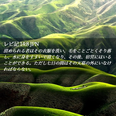 Picture 02 - レビ記 14:8 JPN - 清められる者はその衣服を洗い、毛 - Bible Verse Picture