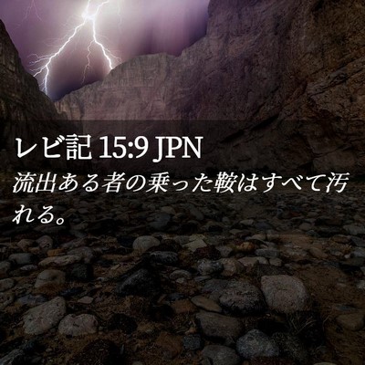 Picture 02 - レビ記 15:9 JPN - 流出ある者の乗った鞍はすべて汚れ - Bible Verse Picture