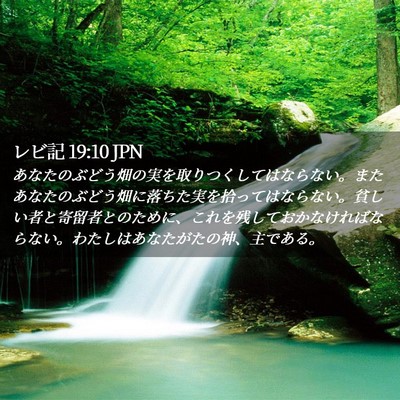 Picture 02 - レビ記 19:10 JPN - あなたのぶどう畑の実を取りつくし - Bible Verse Picture