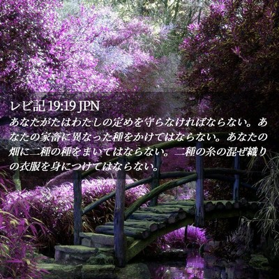 Picture 02 - レビ記 19:19 JPN - あなたがたはわたしの定めを守らな - Bible Verse Picture
