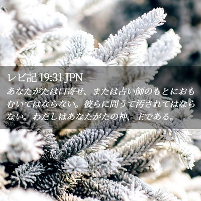 Picture 02 - レビ記 19:31 JPN - あなたがたは口寄せ、または占い師 - Bible Verse Picture