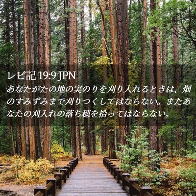 Picture 02 - レビ記 19:9 JPN - あなたがたの地の実のりを刈り入れ - Bible Verse Picture