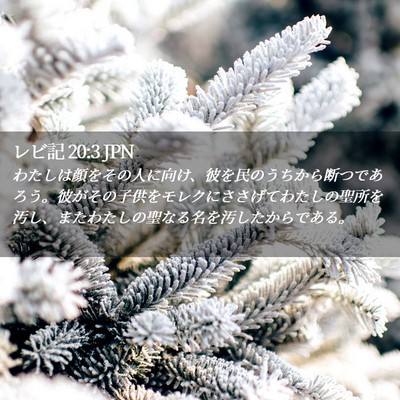 Picture 02 - レビ記 20:3 JPN - わたしは顔をその人に向け、彼を民 - Bible Verse Picture