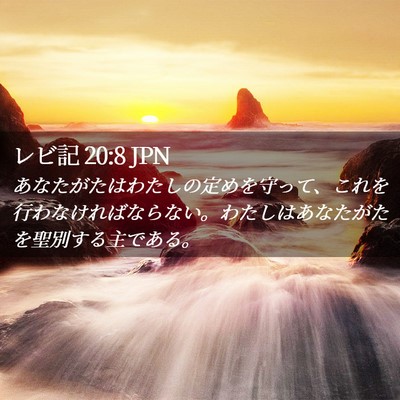 Picture 02 - レビ記 20:8 JPN - あなたがたはわたしの定めを守って - Bible Verse Picture