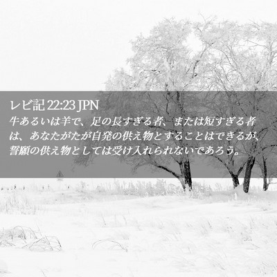 Picture 02 - レビ記 22:23 JPN - 牛あるいは羊で、足の長すぎる者、 - Bible Verse Picture