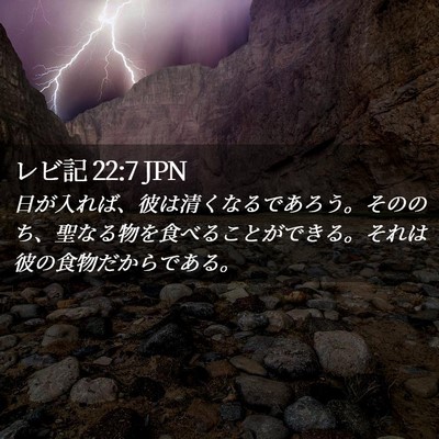 Picture 02 - レビ記 22:7 JPN - 日が入れば、彼は清くなるであろう - Bible Verse Picture