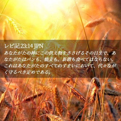 Picture 02 - レビ記 23:14 JPN - あなたがたの神にこの供え物をささ - Bible Verse Picture