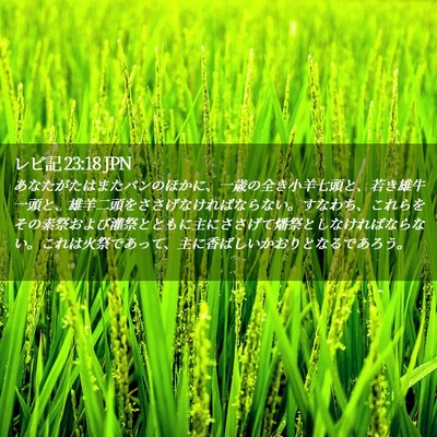 Picture 02 - レビ記 23:18 JPN - あなたがたはまたパンのほかに、一 - Bible Verse Picture
